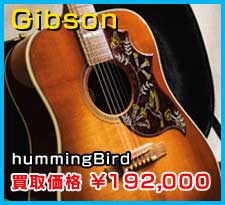 Gibson hummingBird