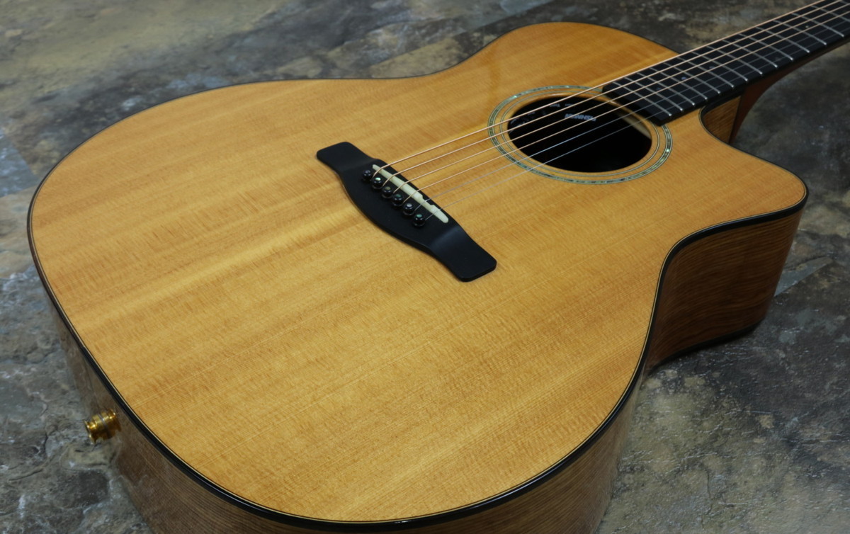 ☆レア！Fender ESA-10CE オール単板！YUI使用モデル！☆ Fender