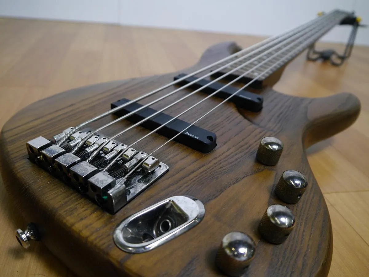 Ibanez/アイバニーズ エレキベース/5弦ベース EDB555 - 楽器の