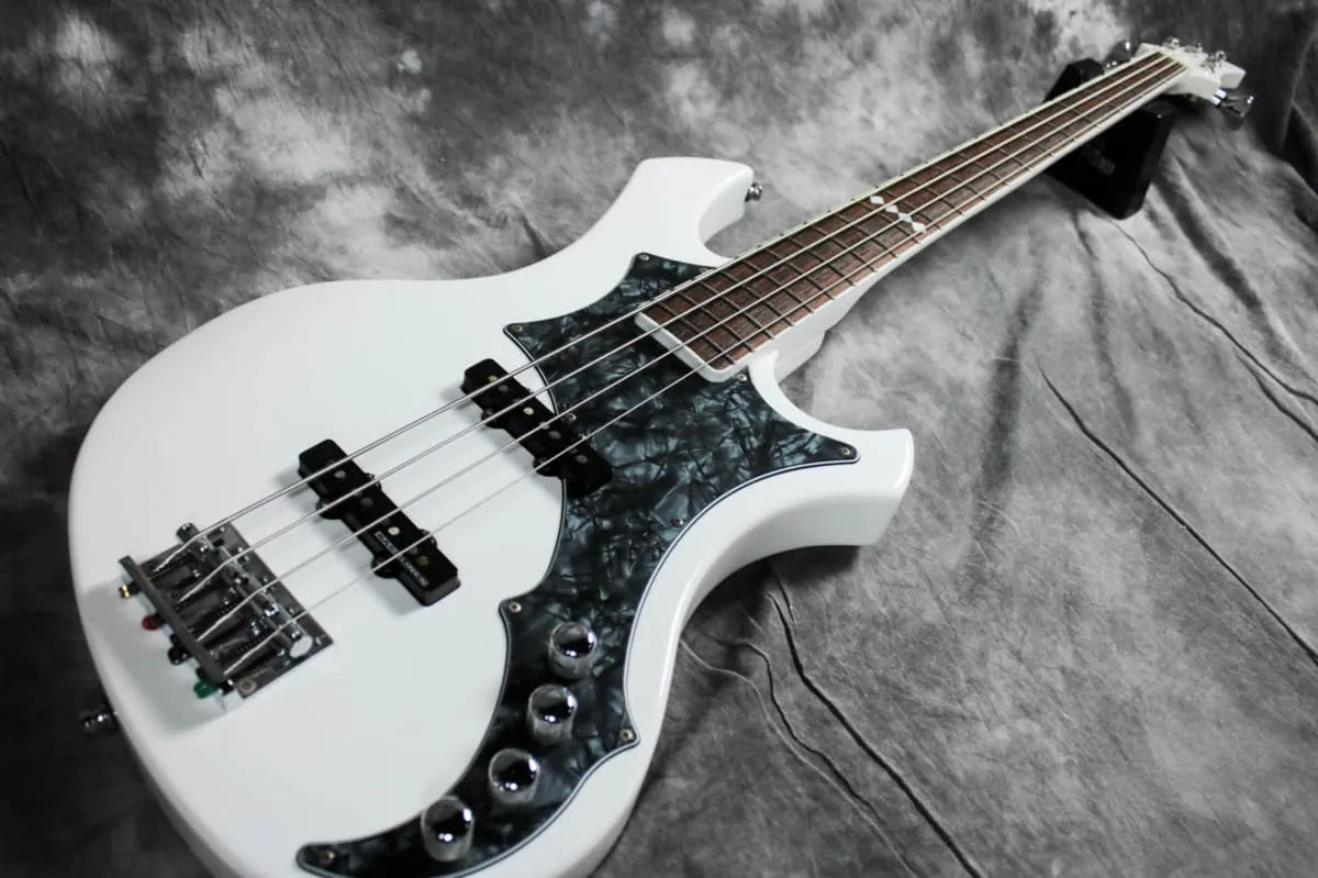 EDWARDS E-RF-137SL the GazettE (ガゼット) REITA シグネイチャー