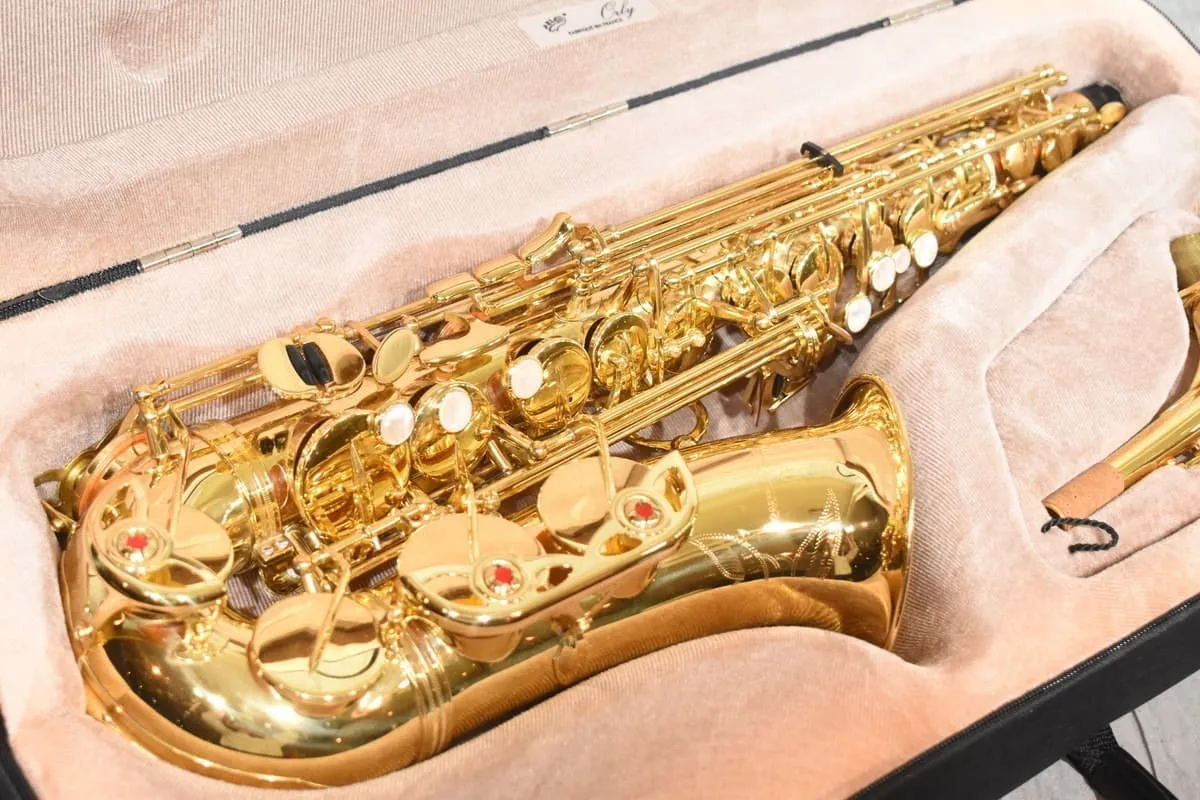 YANAGISAWA ヤナギサワ アルト サックス A-900μ - 楽器の買取屋さん