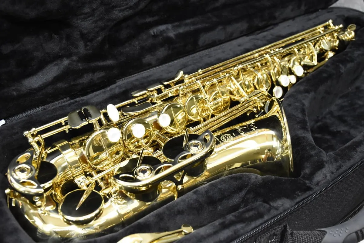 SELMER SELES AXOS セルマー セレス アクソス アルトサックス - 楽器の