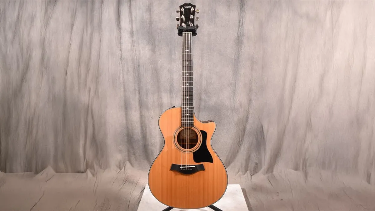 Taylor Guitar/テイラー ギター エレアコ/アコースティックギター 