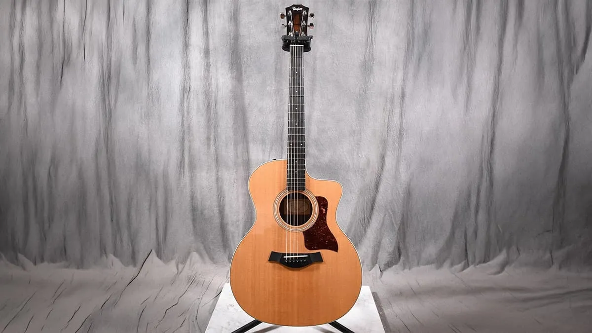 Taylor/テイラー エレアコ/アコースティックギター 214ce - 楽器の買取